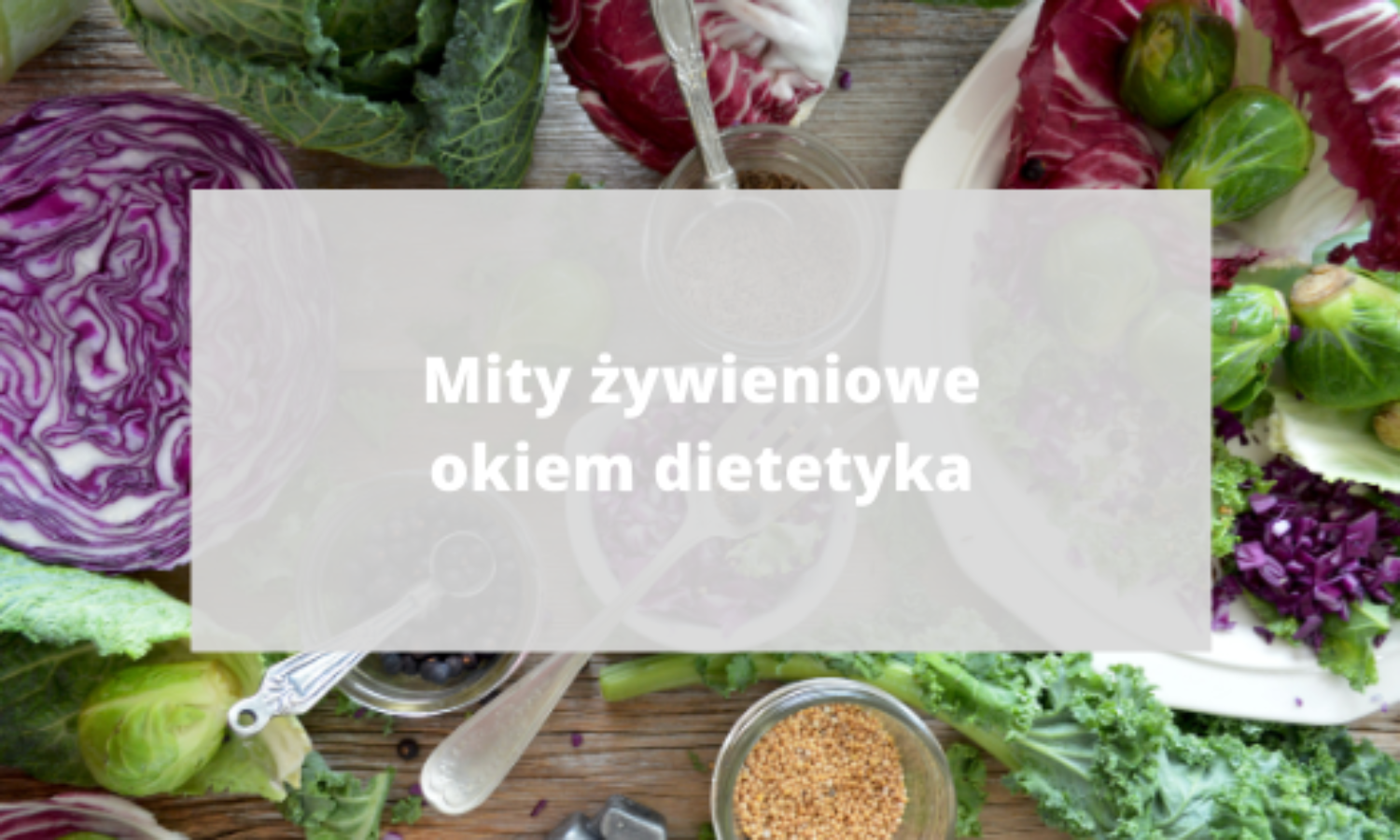 mityżywienowecover